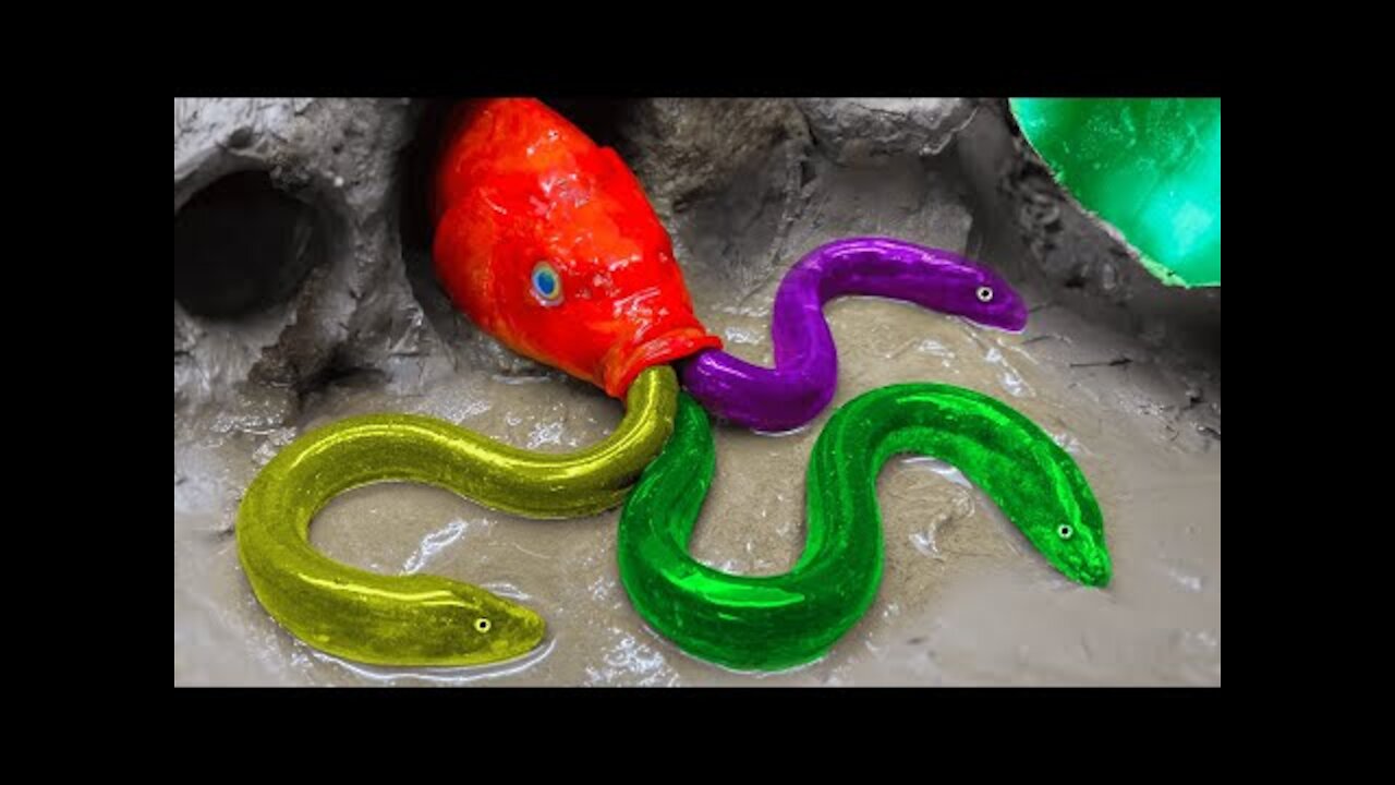 Colorful Koi Fish Funny Experiment Video | Pink Catfish,Spotted Fish