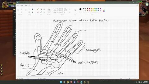 Session 3: Metagame (Paint, Typing, Aim Training) - Part 4 -