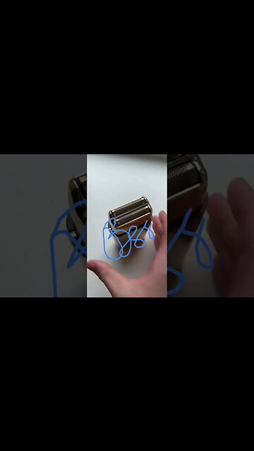 Best Moments Dog angry #shorts #feedshorts #love