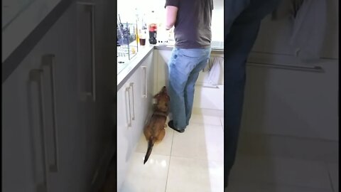 When dad is making food
