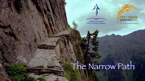 The Narrow Path