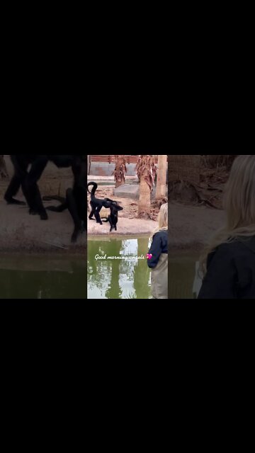 Amazing and Most Trending Video ||Mind Blowing||Shorts||#shorts #youtube #live #youtubeshorts(1)