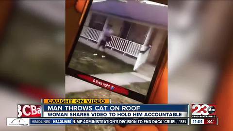 Caught on video: man throws cat onto house roof