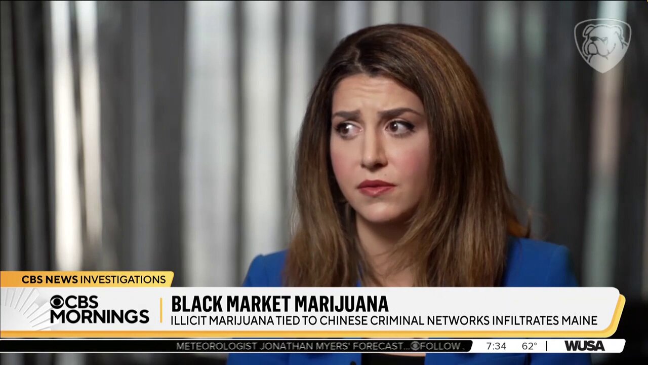 CBS Admits Legalizing Weed Doesn't Stop Black Market Sales, Boosts Them