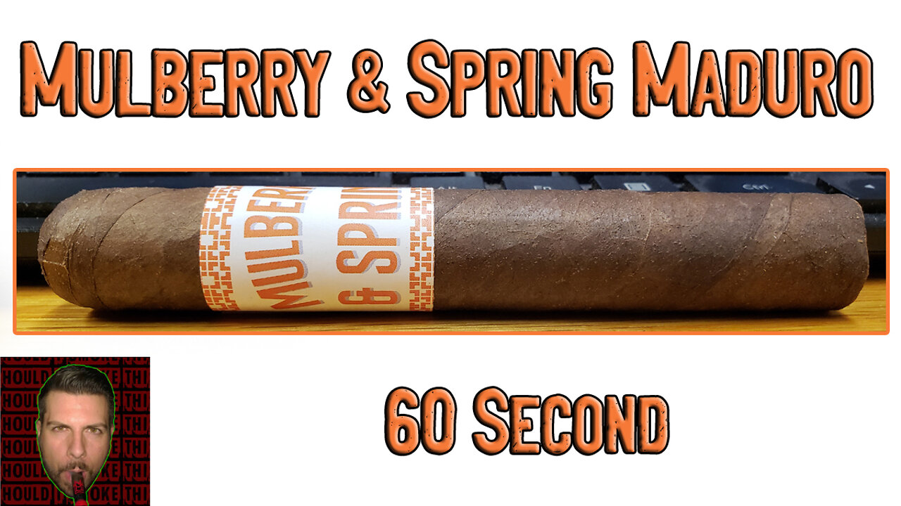 60 SECOND CIGAR REVIEW - Mulberry & Spring Maduro