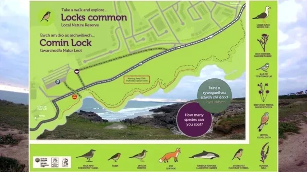 Locks Common Nature Reserve: Porthcawl (South Wales, UK)