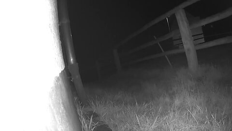 "This is mine now" - Fox stole camera