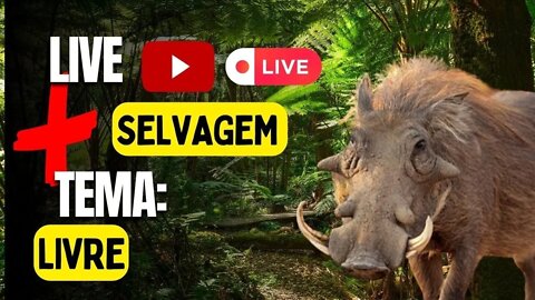 LIVE MAIS QUE SELVAGEM TEMA LIVRE: