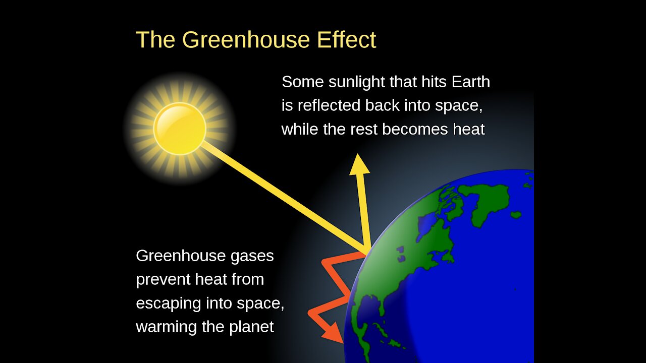 The Green House Effect