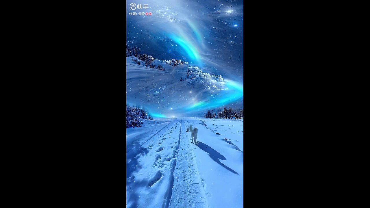 nature video