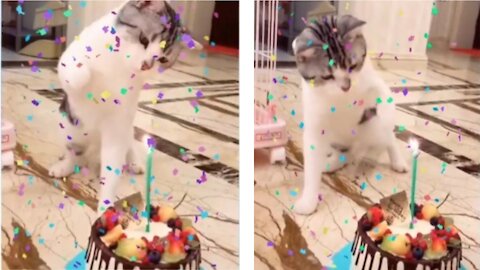 Happy Birthday to you 21