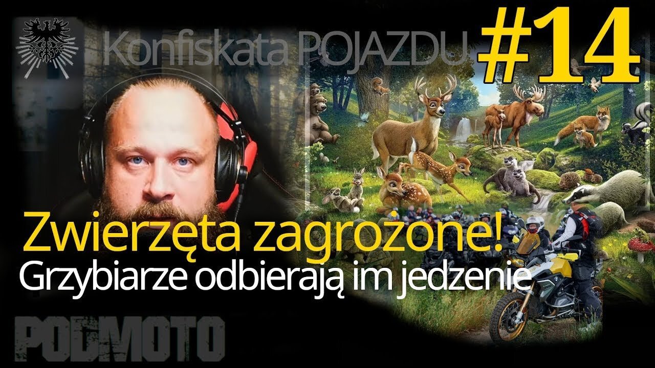 #014 Konfiskata Zabranie prawa jazdy za wjazd do lasu