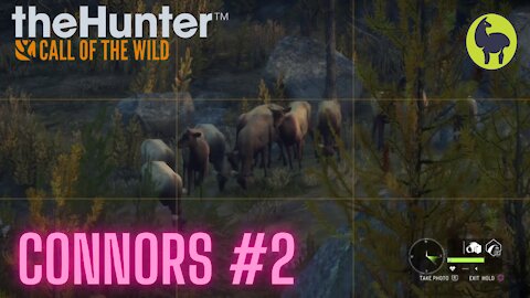 The Hunter: Call of the Wild, Connors #2