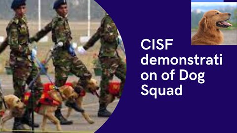 CISF Demonstration Of Dog Squad