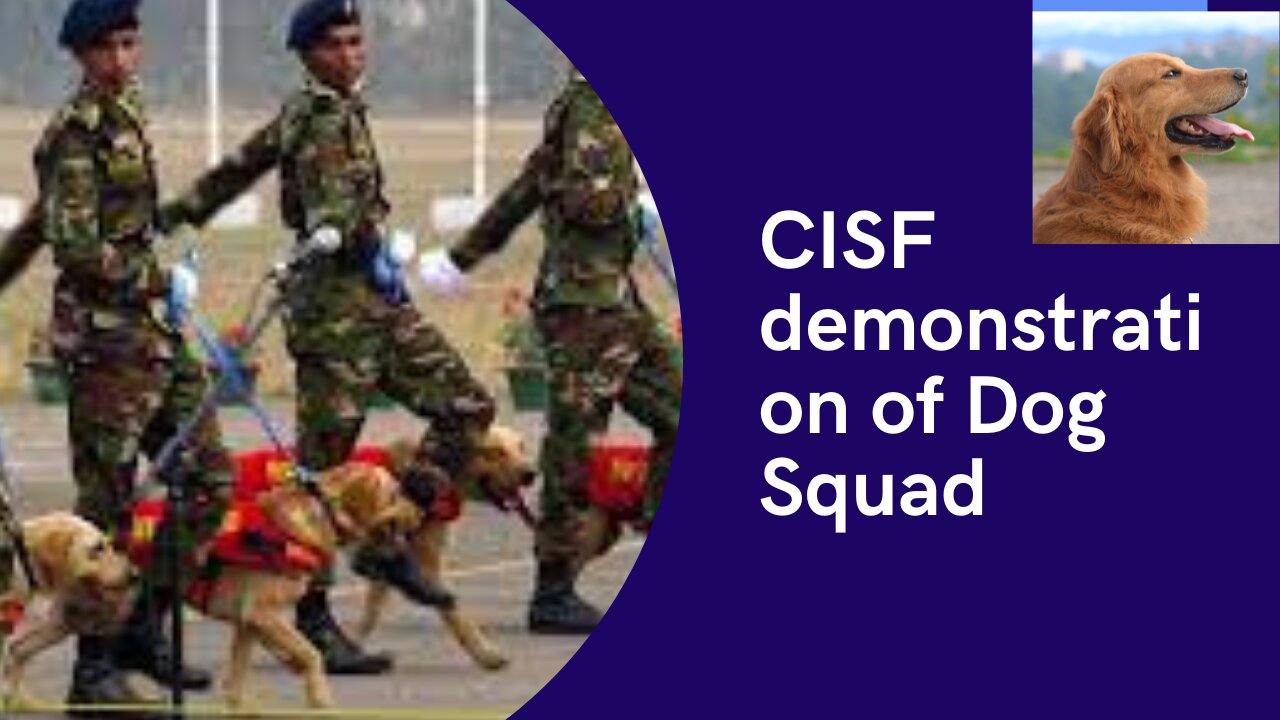 CISF Demonstration Of Dog Squad