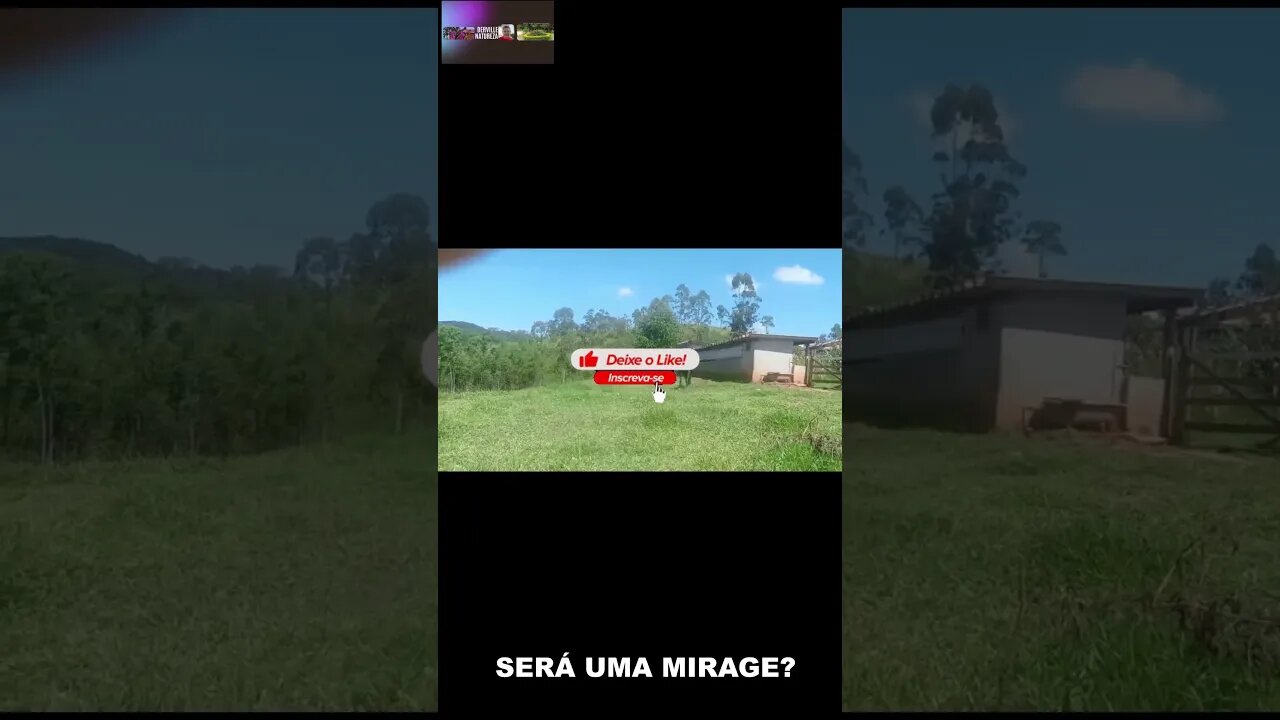 HORSE, UM CAVALINHO AFRO #shorts