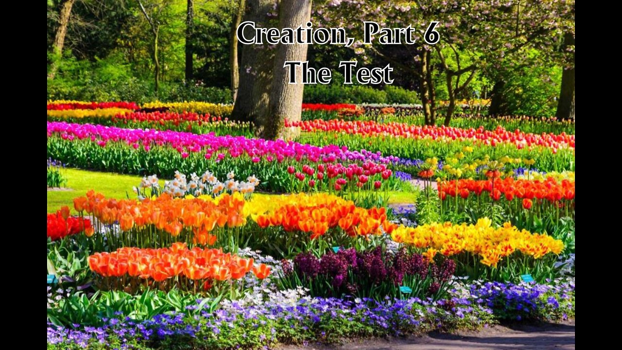 Creation Part 6: The Test