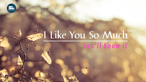 I LIKE YOU SO MUCH - YOU'LL KNOW IT Cover by Putih Abu Abu (Lyrics Video)