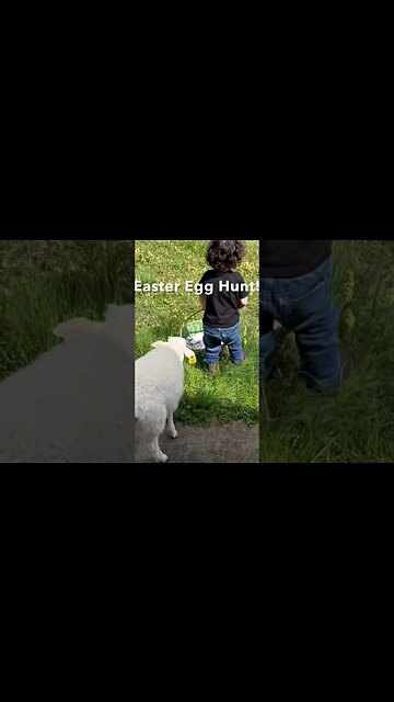 Ducky goes to church and leads an Easter egg hunt!