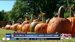 On the Road: Pleasant Valley Farms celebrates autumn