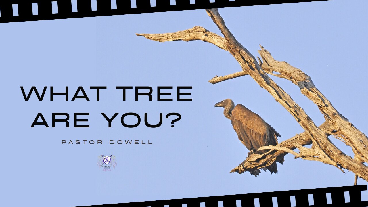 What Tree Are You? || Pastor Dowell