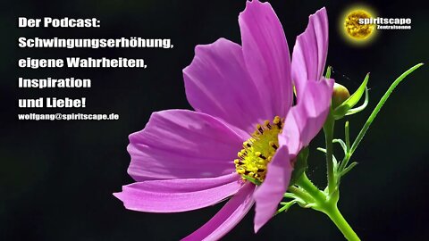 Podcast - Über Portaltage, Macht, Weiße Magie und Müssen/Dürfen