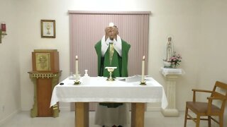 October 25 - Ordinary Time Mass