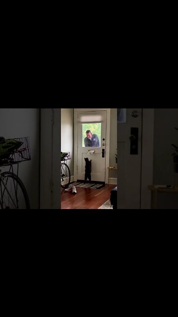 Correo gatunoooo😺😸