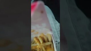 McDonald's bacon cheese fries review