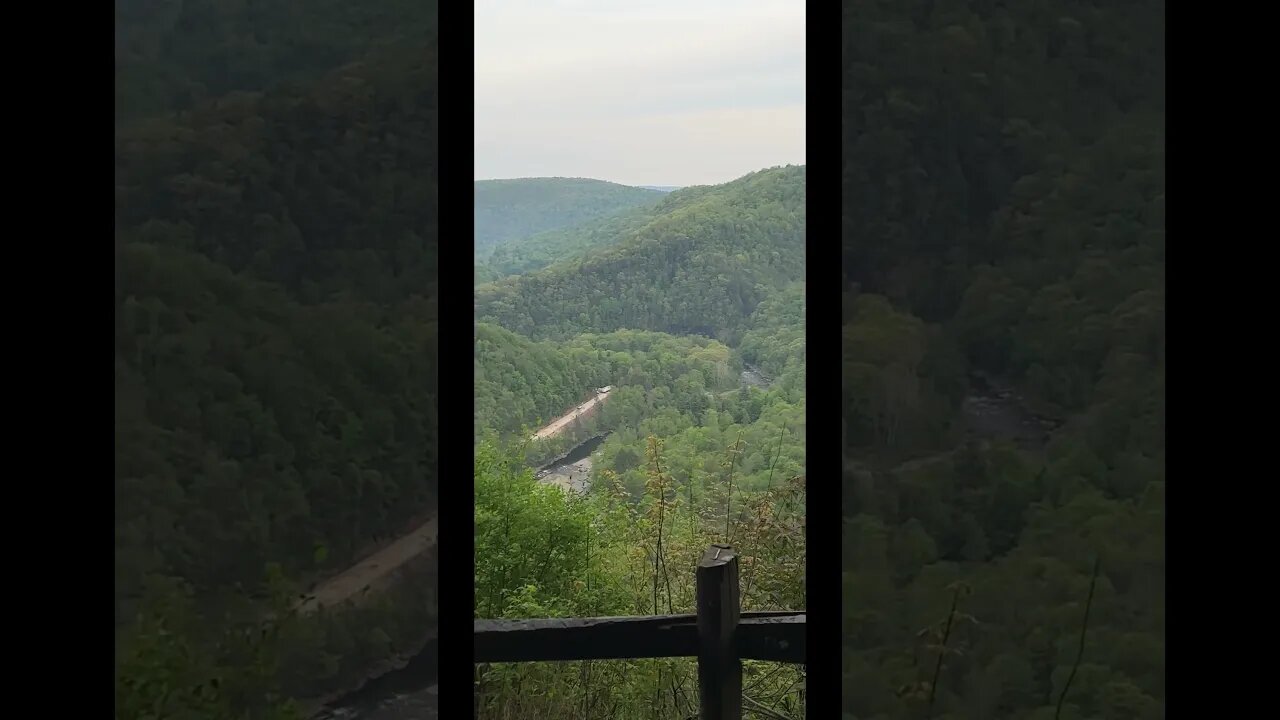 Loyalsock Canyon Vista #backpacking #hiking #loyalsocktrail