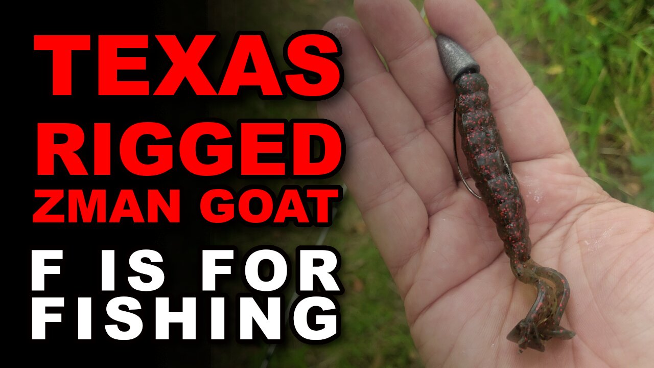 Texas Rigged ZMan GOAT