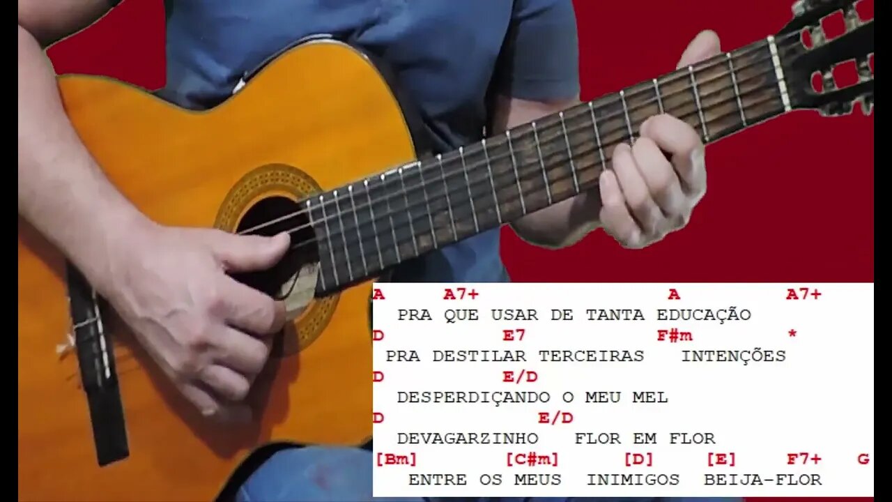CODINOME BEIJA-FLOR [ CAZUZA ] prof. Jaime Toledo