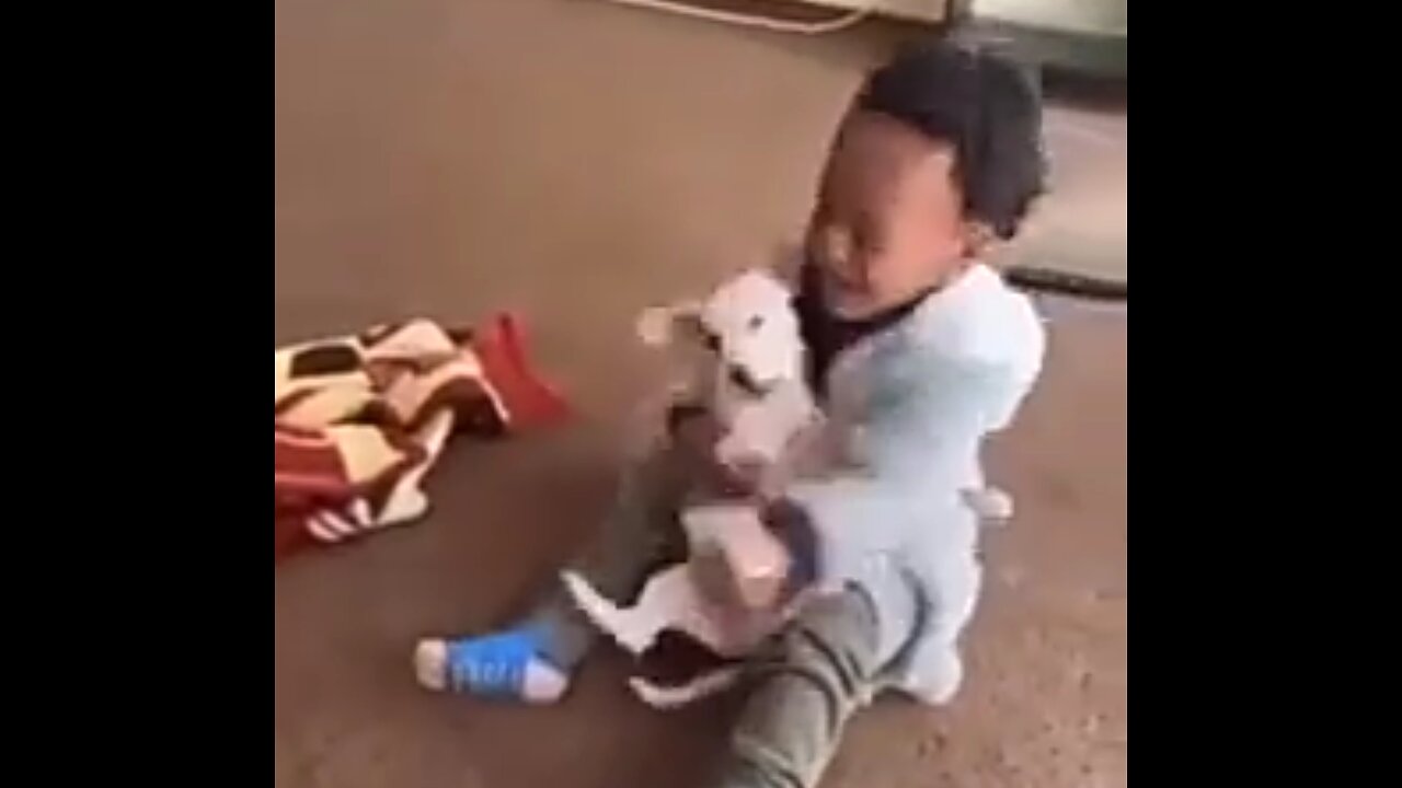 Biting revenge by baby .Funny video little child getting revenge instantly from little dog