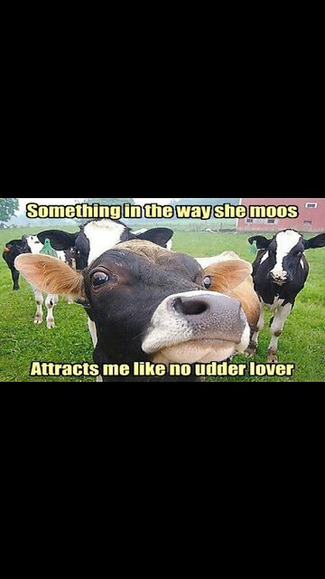 I Have A Real Beef With This Joke #Shorts