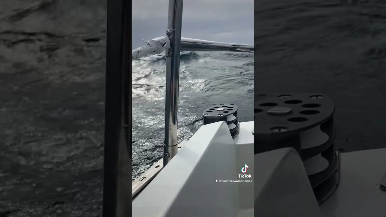 Gotta love those steep Lake Michigan waves!