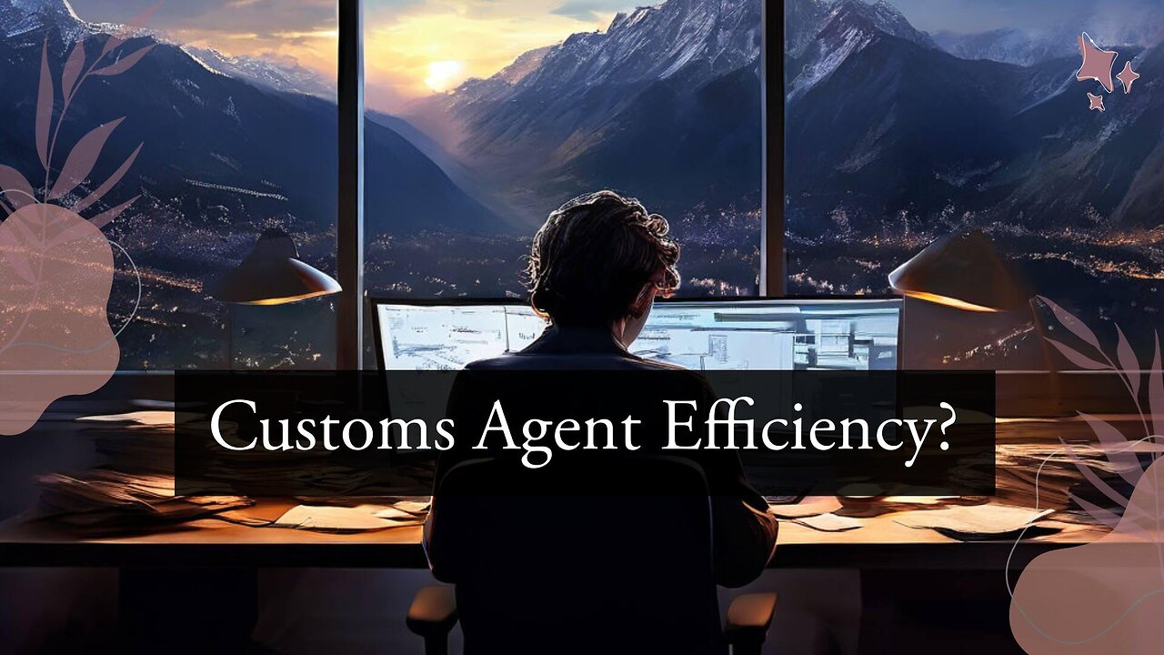 Unlocking the Benefits: Using a Customs Agent for Effortless Clearance