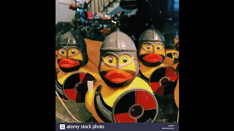 Duck Army