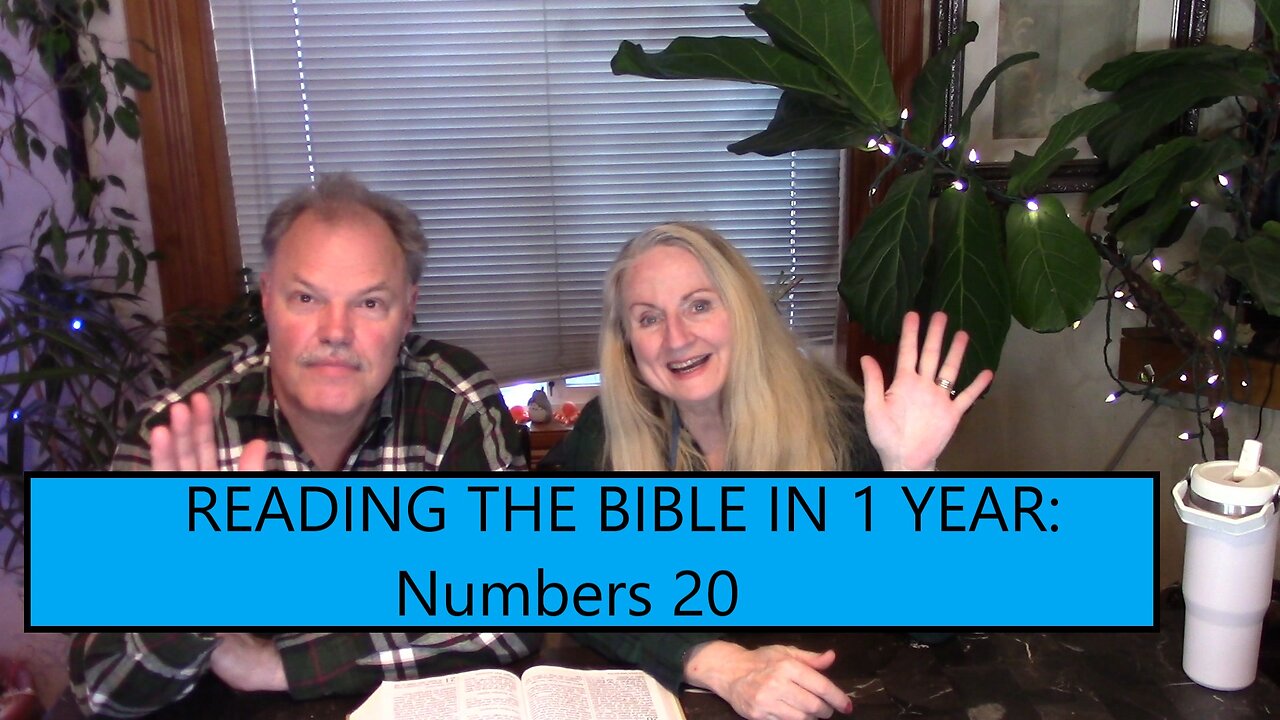 Reading the Bible in 1 Year - Numbers Chapter 20 - Water from the Rock