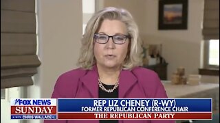 Liz Cheney Gets Ousted From GOP Leadership - Her First Stop? Never Trump Chris Wallace's Show