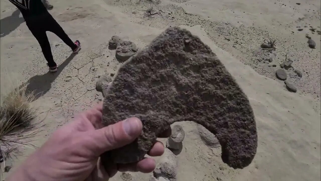 Greatest Mass Extinction Event in History, Walking the K-T Boundary, Bisti Badlands