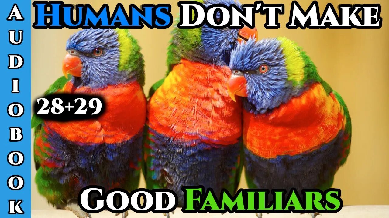 Humans Don't make Good Familiars (Ongoing) - Ch.28+29| HFY | Fantasy