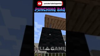 Punching Bag | Minecraft