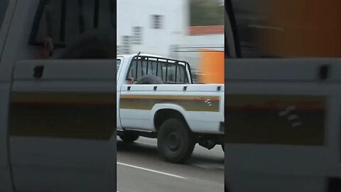 CHEVROLET D20