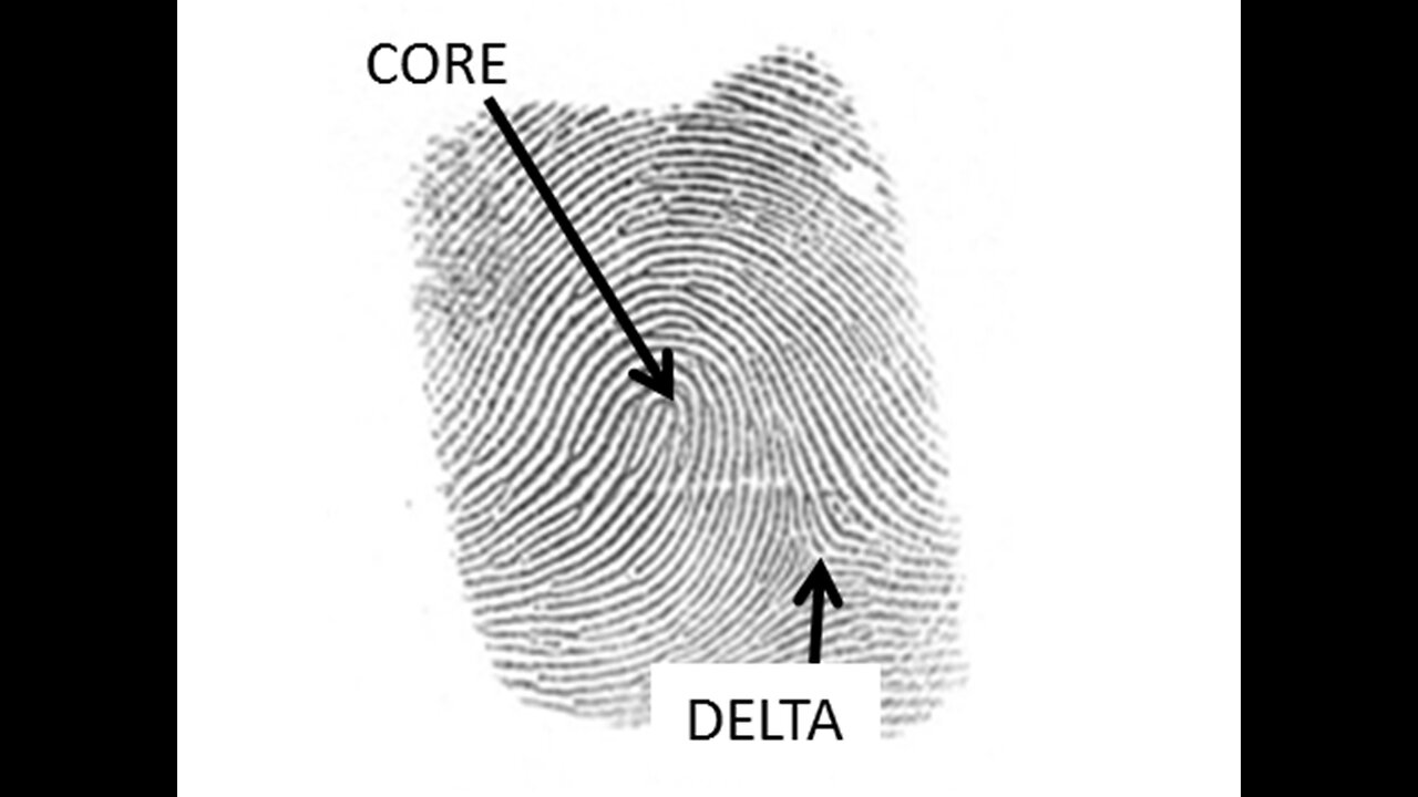 YOUR FINGER PRINTS CAN BE HACKED! NATIONAL SECURITY AT RISK! FRAMED FOR CRIMES