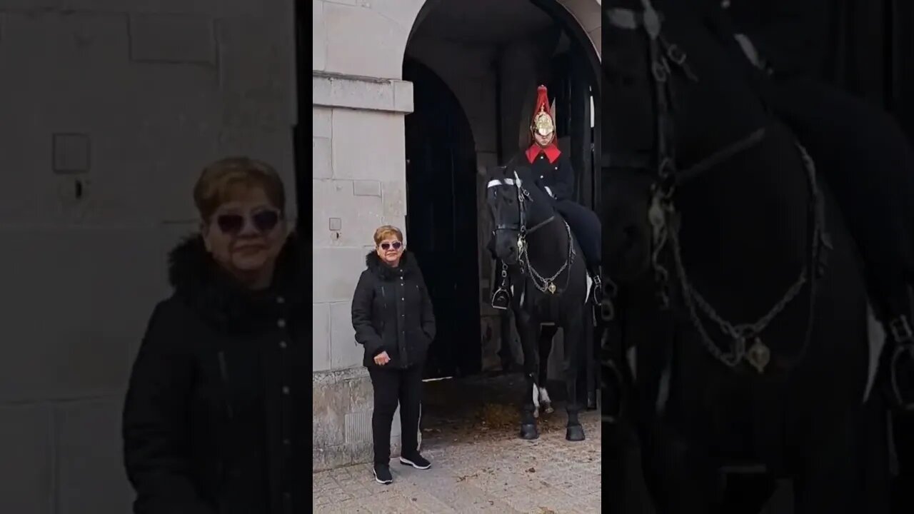 The Horse hates tourist #horseguardsparade