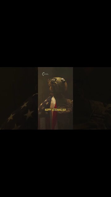 May We NEVER Take America For Granted 🇺🇸