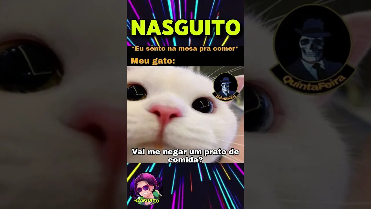 VAI ME NEGAR UM PRATO DE COMIDA?