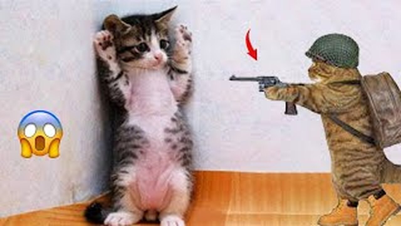 World Best Funniest🤣Cat vs animal vs Kid 🤼♂️ Entertainment Don't Try Laughing 🤣 2024 clips 🫡