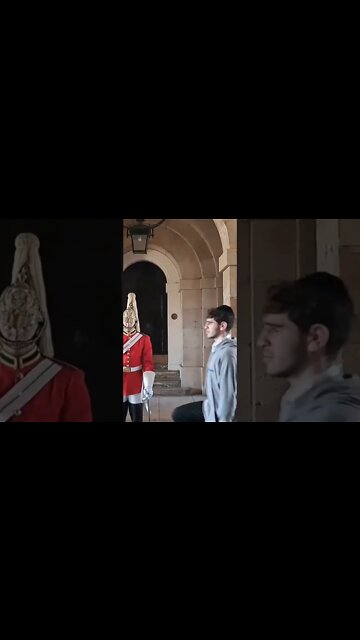 Tourist acting stupid in front of the kings guard #horseguardsparade