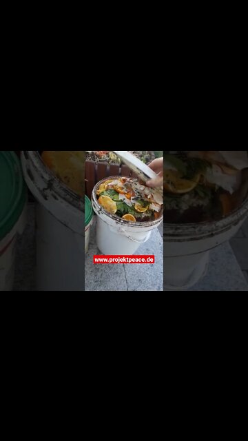 Die besten Bokashi Eimer und das für 0 €